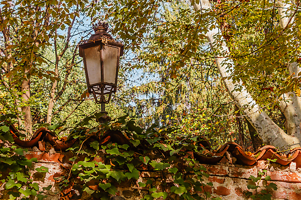 포토 JPG 해외이미지 나무 식물 디자인 공원 도로 벽 잎 가로등 오렌지 건축양식 자연 하늘 벽돌 조명 사람없음 야외 장식 초록색 빛 금속 검은색 에너지 수확 골동품 가을 나뭇가지 등불 파마 철 타일 복고 아이비 빛망울 옛날 해외포토 헤어스타일 계절 공공시설 건축 길 컬러 농업 과일 교통시설 재질 생태계 파일형식 이미지허브