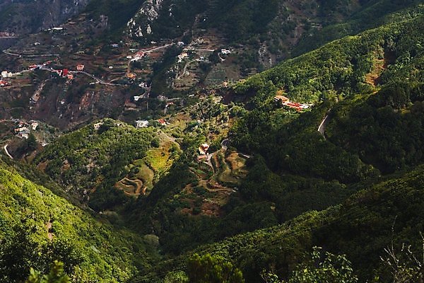 포토 JPG 해외이미지 나무 공원 야생동물 여행 백그라운드 잎 자연 휴가 산 풍경 사람없음 목재 초록색 여름 환경 맑음 하이킹 시골 신선 숲 열대우림 순수 언덕 에코 장면 상록수 산소 내추럴 깊이 바이오 생태학 카피스페이스 해외포토 식물 동물 계절 공공시설 교육 컬러 컨셉 재료 레저 날씨 공백 원소 생태계 파일형식 이미지허브