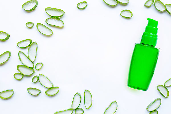 포토 JPG 해외이미지 스튜디오촬영 단면 실내 사람없음 하이앵글 흰배경 알로에 해외포토 식물 뷰포인트 백그라운드 내부 흰색 파일형식 이미지허브