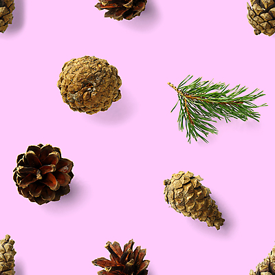 포토 JPG 해외이미지 패턴 사람없음 패턴백그라운드 솔방울 솔잎 해외포토 백그라운드 잎 무늬 파일형식 이미지허브