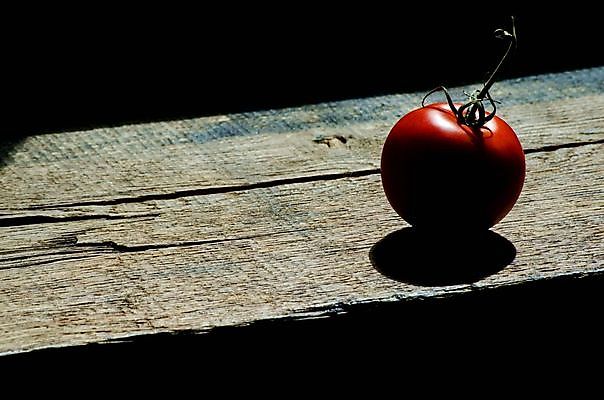 포토 JPG 해외이미지 식물 음식 백그라운드 잎 농업 다이어트 토마토 채소 과일 재료 자연 건강 요리 사람없음 빨간색 초록색 여름 빛 식사 활발 샐러드 성장 흰색 신선 원형 시장 맛 케첩 먹기 오브젝트 싱글 유기농 원예 날것 내추럴 고립 숙성 영양분 채식주의자 해외포토 도형 웰빙 계절 산업 컬러 컨셉 모션 취미 소스_음식 생태계 채식 파일형식 이미지허브