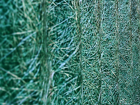 포토 JPG 해외이미지 식물 디자인 백그라운드 겨울 패턴 밭 자연 유리 낚시 추상 잔디 사람없음 초록색 파란색 컬러풀 얼음 추위 흰색 그물 소프트포커스 질감 서리 섬유 스펀지 내추럴 블러 효과 해외포토 자연요소 계절 컬러 무늬 농업 재질 레저 촬영기법 직물 생태계 파일형식 이미지허브