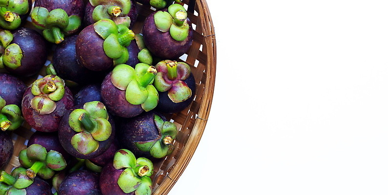 포토 JPG 해외이미지 실내 사람없음 바구니 가득함 열대과일 흰배경 담기 망고스틴 카피스페이스 해외포토 백그라운드 과일 모션 내부 공백 흰색 파일형식 이미지허브