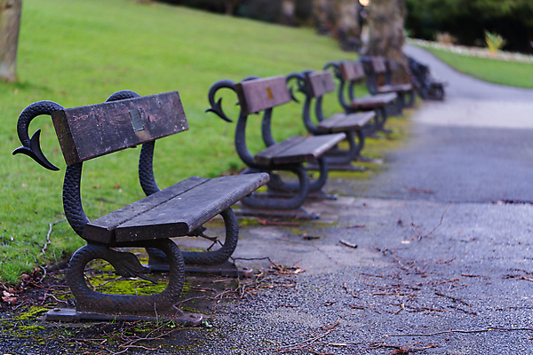 포토 JPG 해외이미지 웰빙 디자인 응시 공원 길 가구 겨울 벤치 의자 가족 놀이 휴식 영국 잉글랜드 프레임 건강 사람 앉기 사람없음 목재 초록색 갈색 평화 걷기 검은색 산책 관찰 뱀 보행로 손목시계 주말 일요일 국회 옛날 철강 해외포토 나무 시선 계절 공공시설 유럽 시계 컬러 생활용품 컨셉 재료 장신구 관계 파충류 모션 요일 파일형식 이미지허브