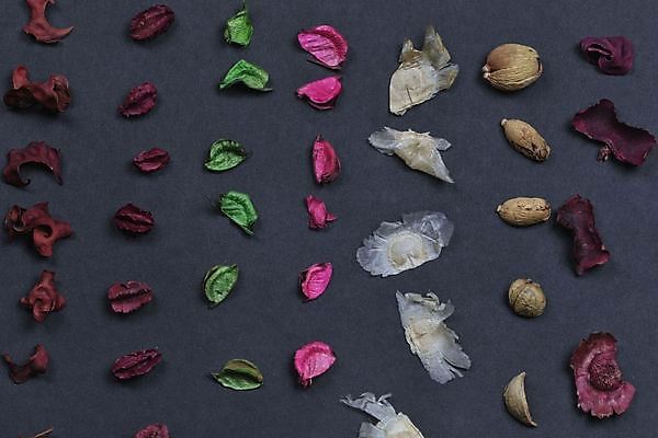 포토 JPG 해외이미지 전통 계절 백그라운드 잎 크리스마스 자연 주택 건조 사람없음 장식 빨간색 컬러풀 보라색 축제 활발 펼침 소나무 사발 닫기 혼합 자주색 향수 향기 솔방울 진홍색 아로마테라피 원뿔 강렬 꼬투리 해외포토 도형 나무 식물 기념일 컬러 컨셉 모션 건물 화장품 사기그릇 생태계 냄새 테라피 파일형식 이미지허브