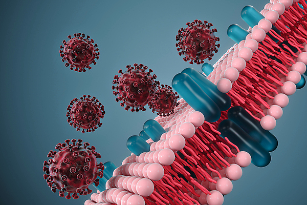 JPG 해외이미지 의학 세포 사람없음 파란색 3D 바이러스 세포막 해외포토 포토 컬러 디지털합성 파일형식 이미지허브