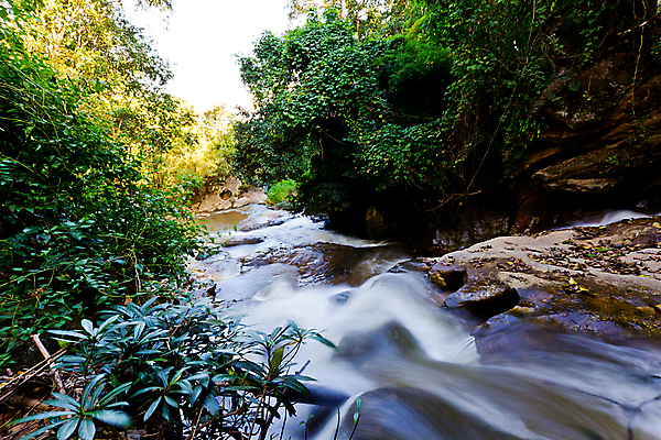 포토 JPG 해외이미지 나무 여행 태국 자연 사람없음 물 환경 폭포 흐름 신선 수분 분무기 지역 암초 내추럴 땅바닥 해외포토 자연요소 식물 아시아 컨셉 바닥 생태계 파일형식 이미지허브