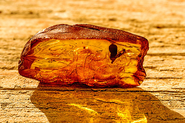 포토 JPG 해외이미지 자연 사람없음 빛 주황색 투명 보석 화석 앰버 해외포토 컬러 광석 생태계 파일형식 이미지허브