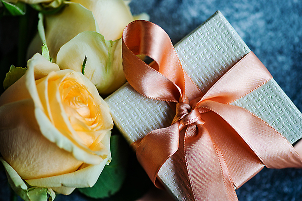 포토 JPG 해외이미지 리본 잎 근접촬영 사람없음 선물상자 장미 파란배경 해외포토 식물 꽃 뷰포인트 백그라운드 선물 파란색 상자 파일형식 이미지허브