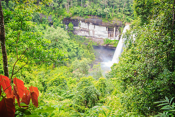 포토 JPG 해외이미지 나무 공원 태국 자연 휴가 휴식 국립공원 풍경 사람없음 초록색 물 여행객 골짜기 폭포 흐름 가을 바위 개울 숲 열대우림 당구 즐거움 천국 내추럴 이국적 전국 터키석 파라다이스 해외포토 자연요소 식물 계절 공공시설 감정 아시아 컬러 컨셉 사람 강 구기 돌_바위 보석 생태계 파일형식 이미지허브
