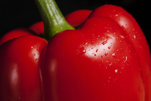 포토 JPG 해외이미지 식물 접시 음식 다이어트 채소 재료 표면 파프리카 요리 사람없음 빨간색 식사 물방울 신선 먹이 강의 영양 후추 영양분 해외포토 식기 컬러 건강 향신료 파일형식 이미지허브