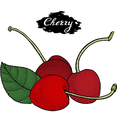 포토 JPG 해외이미지 식물 열매 선 음식 조각 백그라운드 잎 다이어트 과일 일러스트 자연 디저트 건강 미술 사람없음 그래픽 세트 정원 수확 흰색 신선 체리 달콤 맛 낙서 심볼 오브젝트 그림 유기농 복고 윤곽 손그림 판화 내추럴 고립 숙성 엘리먼트 채식주의자 해외일러스트 웰빙 컬러 컨셉 농업 문화예술 생태계 채식 파일형식 이미지허브