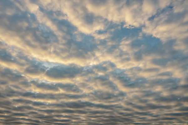 포토 JPG 해외이미지 구름 계절 백그라운드 패턴 자연 벽지 하늘 날씨 추상 안테나 파노라마 미술 풍경 사람없음 야외 여름 파란색 빛 햇빛 태양 일출 환경 맑음 침묵 일몰 봄 흰색 분위기 정상 장면 부드러움 스카이라인 내추럴 수평선 해외포토 자연요소 컬러 컨셉 무늬 통신 문화예술 촬영기법 노을 소리 감각 생태계 파일형식 이미지허브