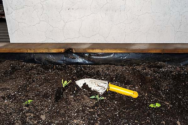 포토 JPG 해외이미지 식물 백인 꽃 행복 화분 잎 토마토 채소 자연 엄마 주택 함께함 실내 사람없음 목재 초록색 환경 정원 성장 공구 삽 원예 호스 국산 개발 돌봄 모종 심기 해외포토 서양인 나무 감정 컬러 컨셉 재료 가족 모션 취미 내부 건물 도구 생태계 파일형식 이미지허브