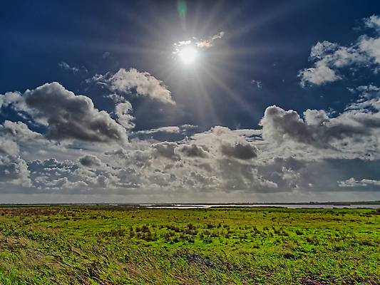 포토 JPG 해외이미지 주간 구름 전통 계절 백그라운드 밭 건축양식 자연 하늘 날씨 갈대 풍경 사람없음 야외 초록색 물 파란색 햇빛 태양 반사 일출 환경 맑음 힘 봄 들꽃 시골 땅 홍수 네덜란드 장면 펌프 내추럴 배수구 수평선 해외포토 자연요소 식물 건축 꽃 유럽 컬러 농업 노을 자연재해 생태계 파일형식 이미지허브