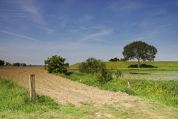 포토 JPG 해외이미지 나무 구름 밭 농업 자연 하늘 풍경 사람없음 파란색 강 농경지 시골 트랙 봉 밭일 해외포토 자연요소 식물 산업 컬러 농장 생태계 파일형식 이미지허브