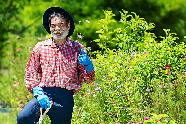 포토 JPG 해외이미지 식물 백인 꽃 밭 날씨 휴식 따뜻함 한명 사람 취미 가로 초록색 카메라 정원 목장 회색 잡기 업무 작업 농부 삽 만족 원예 70대 온도 무료 연금 옛날 원예사 저지 해외포토 서양인 직업 1 노년 감정 컬러 컨셉 농업 모션 전자제품 파일형식 이미지허브