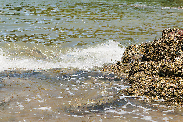포토 JPG 해외이미지 계절 모래 파도 바다 섬 여행 태국 자연 휴가 휴식 선반 따뜻함 풍경 사람없음 야외 초록색 물 여름 파란색 모래사장 노란색 거품 껍질 굴 흰색 서핑 떨어짐 장면 암초 내추럴 석회암 터키석 파라다이스 수평선 해외포토 자연요소 아시아 컬러 가구 컨셉 어패류 암석 수상스포츠 보석 생태계 파일형식 이미지허브