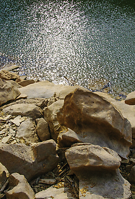 포토 JPG 해외이미지 나무 식물 야생동물 여행 백그라운드 북아메리카 건조 풍경 사람없음 물 세계 미국 액체 숲 석회암 지질학 해외포토 자연요소 동물 교육 아메리카 암석 파일형식 이미지허브