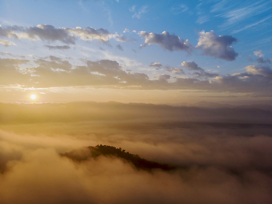 포토 JPG 해외이미지 식물 구름 계절 꽃 실루엣 분홍색 밭 자연 하늘 아침 추상 따뜻함 풍경 사람없음 목재 빨간색 초록색 파란색 빛 컬러풀 햇빛 태양 노란색 우주 일출 계곡 맑음 새벽 안개 광선 시골 신선 분위기 황금 이슬 언덕 속도 침엽수 뿌연 해외포토 주간 자연요소 나무 컬러 컨셉 무늬 농업 재료 날씨 촬영기법 노을 생태계 파일형식 이미지허브