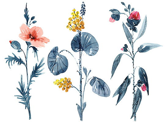 포토 JPG 해외이미지 꽃잎 잎 자연 붓터치 수채화 사람없음 번짐 해외포토 식물 꽃 생태계 파일형식 효과 이미지허브