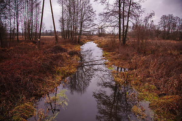 포토 JPG 해외이미지 나무 구름 계절 공원 호수 겨울 자연 하늘 풍경 사람없음 야외 초록색 물 파란색 강 반사 노란색 폭포 가을 연못 개울 숲 슬로프 해외포토 자연요소 식물 공공시설 컬러 스키장 생태계 파일형식 이미지허브