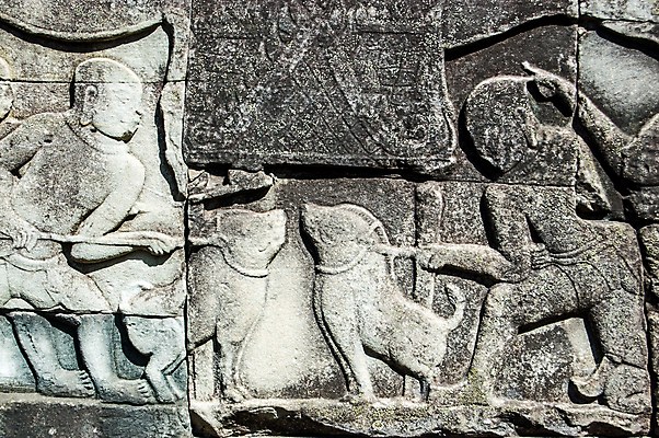 포토 JPG 해외이미지 동물 벽 스포츠 조각 2 사람없음 가로 조각상 세계문화유산 돼지 사찰 쌍 싸움 캄보디아 멧돼지 대칭 해외포토 아시아 포유류 종교건축 모션 조형물 문화재 파일형식 이미지허브