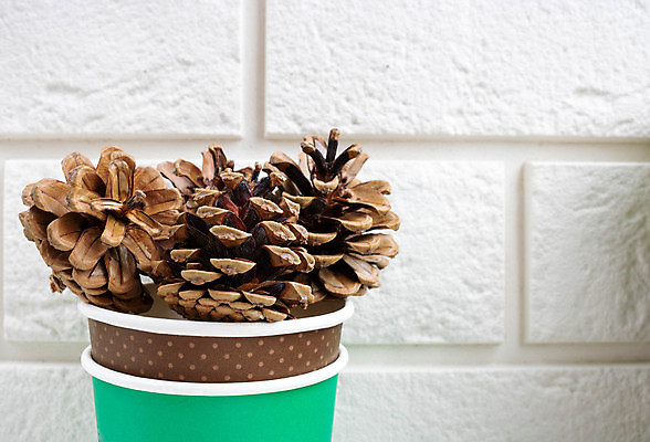 포토 JPG 해외이미지 컨셉 크리스마스 휴가 벽돌 새해 사람없음 흰색 소나무 거짓말 해외포토 나무 기념일 컬러 파일형식 이미지허브