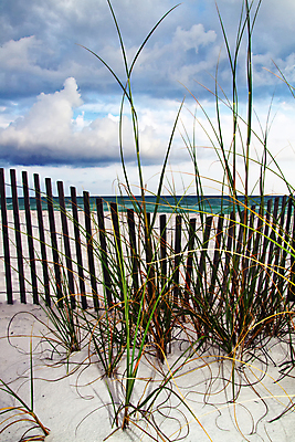 포토 JPG 해외이미지 구름 모래 파도 바다 자연 조류 휴가 휴식 풍경 사람없음 야외 물 여름 파란색 울타리 어둠 조약돌 만 서핑 해산물 폭풍 흐림 내추럴 뇌우 파라다이스 플로리다 안락 해외포토 자연요소 동물 계절 컬러 컨셉 날씨 담장 미국 돌_바위 수상스포츠 생태계 파일형식 이미지허브