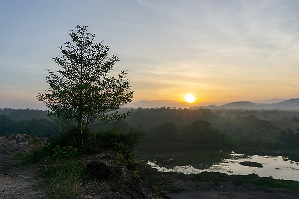 포토 JPG 해외이미지 나무 계절 백그라운드 잎 자연 아침 휴가 파노라마 풍경 사람없음 야외 목재 초록색 빛 햇빛 태양 일출 환경 맑음 시골 신선 장면 말레이시아 내추럴 해외포토 주간 자연요소 식물 아시아 컬러 재료 날씨 촬영기법 노을 생태계 파일형식 이미지허브
