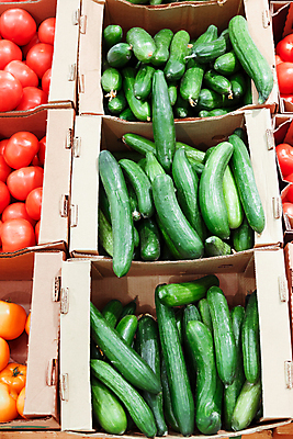 포토 JPG 해외이미지 잡화 음식 농업 다이어트 토마토 채소 부분 오이 선반 건강 종류 사람없음 초록색 상자 농장 상점 신선 시장 구매 상품 쇼핑몰 먹기 유기농 양배추 채식 상업 소매 흙더미 슈퍼마켓 내추럴 돌봄 매각 줄서기 채식주의자 해외포토 웰빙 산업 컬러 가구 모션 쇼핑 흙 파일형식 더미 이미지허브