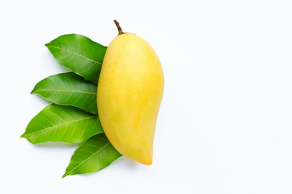 포토 JPG 해외이미지 잎 실내 사람없음 한개 열대과일 흰배경 망고 해외포토 식물 1 백그라운드 과일 내부 흰색 파일형식 이미지허브