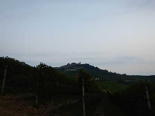 포토 JPG 해외이미지 나무 구름 유럽 여행 밭 농업 자연 하늘 포도 휴가 파노라마 풍경 사람없음 야외 초록색 여행객 와인 이탈리아 성장 농촌 시골 언덕 조경 포도밭 산기슭 내추럴 양조장 해외포토 자연요소 식물 나라 산업 컬러 과일 산 주류 촬영기법 사람 생태계 파일형식 이미지허브