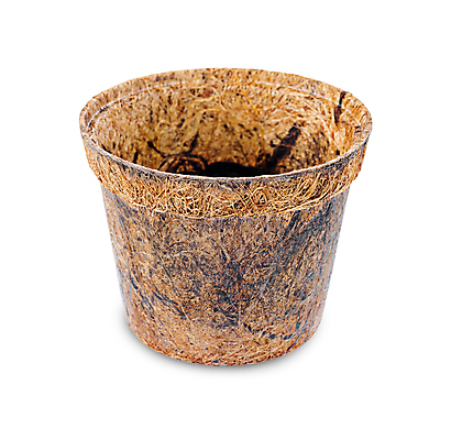 포토 JPG 해외이미지 화분 실내 사람없음 자연보호 껍질 흰배경 에코 친환경 코코넛 섬유 에코라이프 친환경제품 제로웨이스트 해외포토 라이프스타일 백그라운드 과일 자연 내부 환경 그린캠페인 흰색 직물 보호 사회이슈 파일형식 이미지허브