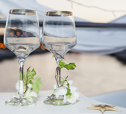 포토 JPG 해외이미지 꽃 줄기 잎 2 와인잔 유리 탁자 불가사리 사람없음 장식 컵 흰색 쌍 화려 유리그릇 해외포토 식물 그릇 식기 컬러 가구 컨셉 술잔 재질 극피동물 파일형식 이미지허브