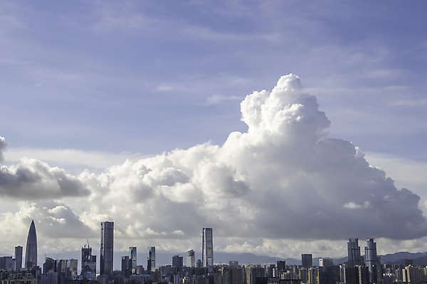 포토 JPG 해외이미지 나무 구름 실루엣 오렌지 자연 하늘 풍경 사람없음 빨간색 물 파란색 빛 강 태양 일출 황혼 일몰 도시 야간 저녁 시드니 스카이라인 수평선 해외포토 자연요소 식물 컬러 과일 촬영기법 노을 호주 생태계 파일형식 이미지허브
