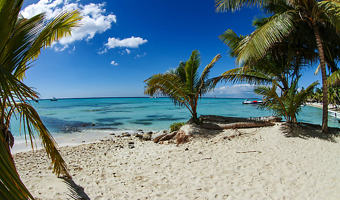 포토 JPG 해외이미지 나무 구름 모래 바다 섬 여행 자연 하늘 휴가 손바닥 풍경 사람없음 야외 물 여름 파란색 햇빛 태양 평화 에메랄드 공화국 이국적 파라다이스 해외포토 자연요소 식물 손 계절 나라 컬러 컨셉 보석 생태계 파일형식 이미지허브
