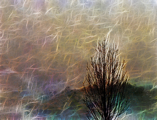 포토 JPG 해외이미지 나무 식물 계절 공원 실루엣 백그라운드 잎 일러스트 자연 추상 미술 풍경 사람없음 야외 목재 장식 빨간색 빛 컬러풀 햇빛 환경 침묵 황혼 새벽 성장 가을 나뭇가지 황금 숲 그림 장면 공상 내추럴 스타일 해외일러스트 자연요소 공공시설 컬러 무늬 재료 문화예술 촬영기법 태양 소리 일몰 생태계 파일형식 이미지허브