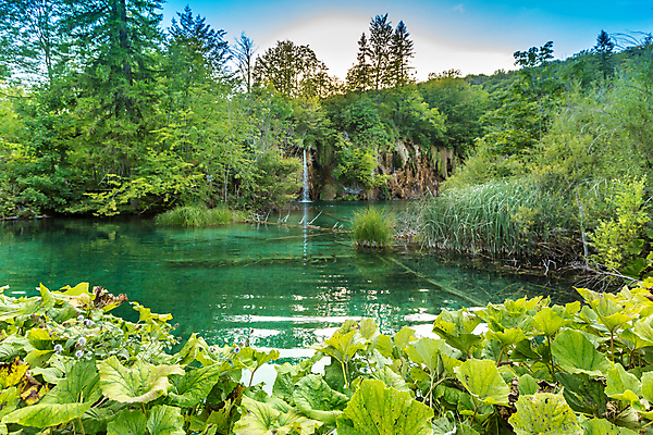 포토 JPG 해외이미지 나무 식물 공원 유럽 호수 여행 백그라운드 자연 산 풍경 사람없음 야외 초록색 물 여름 파란색 강 여행객 봄 폭포 가을 연못 개울 숲 크로아티아 내추럴 생태학 전국 해외포토 자연요소 계절 공공시설 교육 나라 컬러 사람 생태계 파일형식 이미지허브