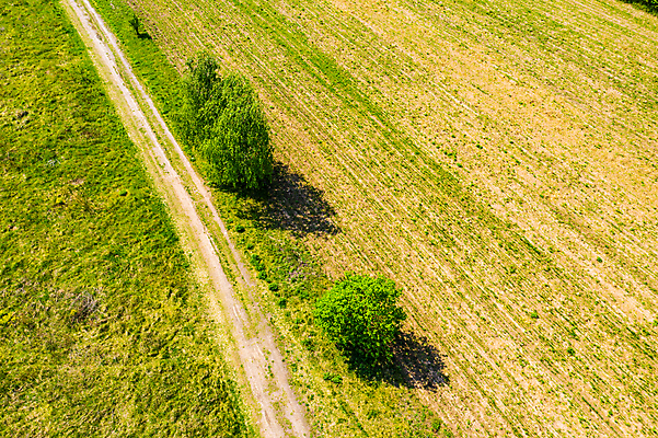 포토 JPG 해외이미지 나무 식물 계절 공원 도로 길 여행 백그라운드 잎 캐나다 패턴 밭 자연 하늘 거리 안테나 핀란드 풍경 사람없음 야외 목재 초록색 여름 빛 태양 맑음 시골 고속도로 정상 숲 아스팔트 전나무 내추럴 넘어짐 드론 가문비나무 해외포토 자연요소 공공시설 컬러 북아메리카 무늬 농업 재료 통신 교통시설 모션 날씨 북유럽 생태계 파일형식 이미지허브
