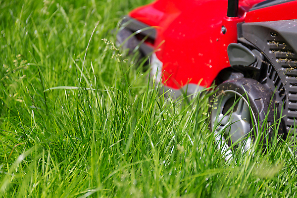 포토 JPG 해외이미지 자연 주택 풍경 잔디 사람없음 야외 빨간색 초록색 여름 환경 정원 맑음 기계 봄 장비 성장 공구 신선 닫기 자르기 원예 조경 부드러움 엔진 모터 유지 돌봄 뒤뜰 원예사 커터 해외포토 식물 직업 계절 컬러 모션 날씨 취미 건물 도구 감각 생태계 파일형식 이미지허브