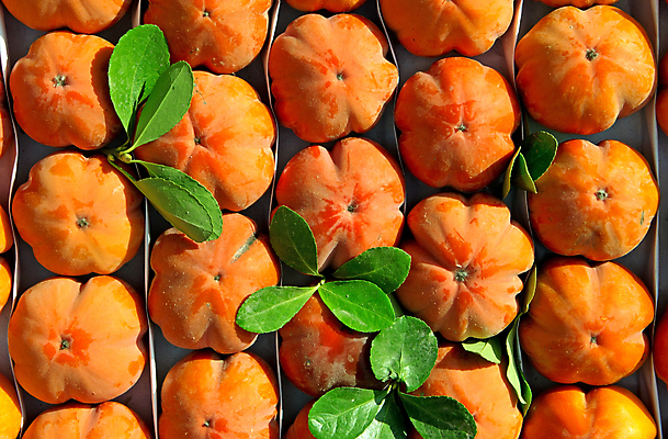 포토 JPG 해외이미지 주간 나뭇잎 감 사람없음 야외 하이앵글 햇빛 시장 해외포토 자연요소 뷰포인트 잎 과일 태양 파일형식 이미지허브