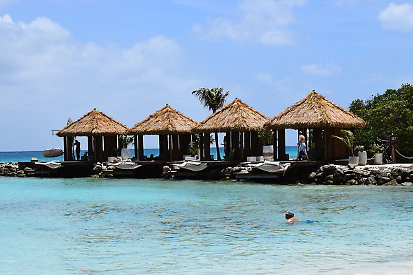 포토 JPG 해외이미지 나무 모래 바다 섬 여행 자연 하늘 휴가 손바닥 풍경 사람없음 야외 물 여름 파란색 야자수 맑음 흰색 휴양지 코코넛 카리브해 이국적 파라다이스 수평선 해외포토 자연요소 식물 손 계절 컬러 과일 날씨 장소 생태계 파일형식 이미지허브