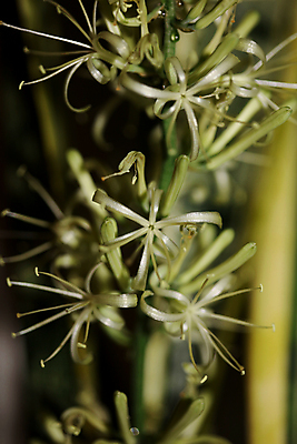 포토 JPG 해외이미지 나무 식물 학생 라이프스타일 응시 남자 꽃 잎 자연 주택 손바닥 미소 취미 사람없음 야외 초록색 물 환경 상점 정원 맑음 장비 성장 신선 잡기 업무 개화 난초 캔 냄비 꽃집 원예 돌봄 심기 온실 원예사 해외포토 자연요소 직업 손 시선 컬러 모션 날씨 표정 사람 건물 생활 작업 솥 생태계 파일형식 이미지허브
