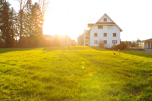 포토 JPG 해외이미지 동물 포즈 백그라운드 장난 포유류 자연 놀이 털 잔디 사람없음 야외 빨간색 초록색 여름 빛 반려동물 우주 정원 점프 고양이 봄 가을 흰색 아기 신선 잡기 달콤 작음 사냥 얼룩무늬 솜털 고립 카피스페이스 해외포토 식물 계절 컬러 무늬 모션 사람 공백 맛 크기 생태계 파일형식 이미지허브