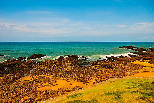 포토 JPG 해외이미지 나무 모래 파도 바다 여행 우산 자연 휴가 손바닥 풍경 사람없음 가로 물 여름 파란색 도시풍경 태양 맑음 축구 미국 목욕 도시 만 보트 가득함 브라질 대서양 남쪽 파라다이스 브라질사람 해외포토 자연요소 식물 손 계절 컬러 북아메리카 배_교통 날씨 구기 청결 남아메리카 방향 생태계 파일형식 이미지허브