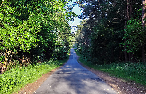 포토 JPG 해외이미지 나무 구름 계절 공원 유럽 도로 길 선 여행 밭 농업 곡선 교통시설 자국 자연 하늘 거리 독일 풍경 사람없음 야외 목재 초록색 여름 파란색 농경지 봄 산책 하이킹 시골 고속도로 숲 오솔길 아스팔트 내추럴 방법 수평선 해외포토 자연요소 식물 공공시설 나라 산업 컬러 교통 재료 레저 휴식 농장 시설 생태계 파일형식 이미지허브