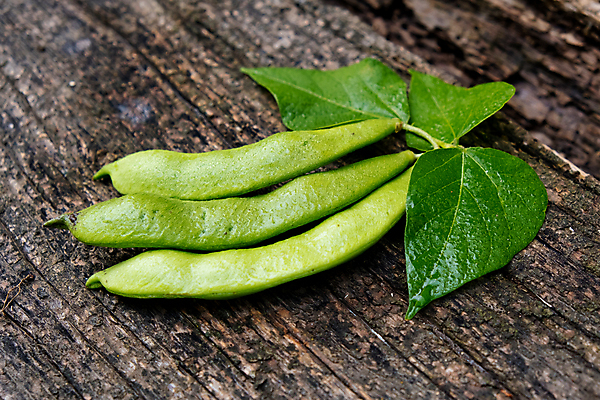 포토 JPG 해외이미지 접시 음식 백그라운드 농업 다이어트 채소 콩 건강 사람없음 목재 초록색 우주 수확 시골 신선 오브젝트 유기농 날것 내추럴 꼬투리 단백질 생식 채식주의자 카피스페이스 해외포토 나무 식기 웰빙 산업 컬러 재료 곡류 공백 채식 영양소 파일형식 이미지허브