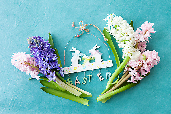 포토 JPG 해외이미지 꽃 꽃다발 꽃무늬 봄꽃 부활절 발렌타인데이 사람없음 가로 파란색 컬러풀 봄 생일 어머니의날 해외포토 식물 계절 기념일 컬러 무늬 데이이벤트 미국문화 파일형식 이미지허브