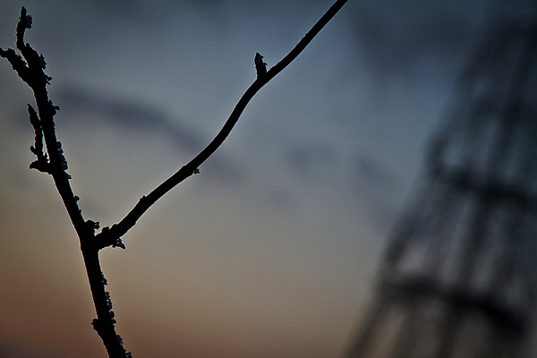 포토 JPG 해외이미지 나무 구름 공원 밭 자연 하늘 바람 휴가 영국 잉글랜드 이끼 사람 사람없음 여름 파란색 빛 컬러풀 태양 농장 걷기 믿음 황혼 일몰 하이킹 달 시골 야간 저녁 숲 요크셔테리어 달빛 철탑 삼림지대 석회암 옛날 전국 혼자 흥미 해외포토 자연요소 식물 계절 공공시설 감정 유럽 컬러 컨셉 농업 모션 레저 날씨 노을 탑 암석 테리어 생태계 파일형식 이미지허브